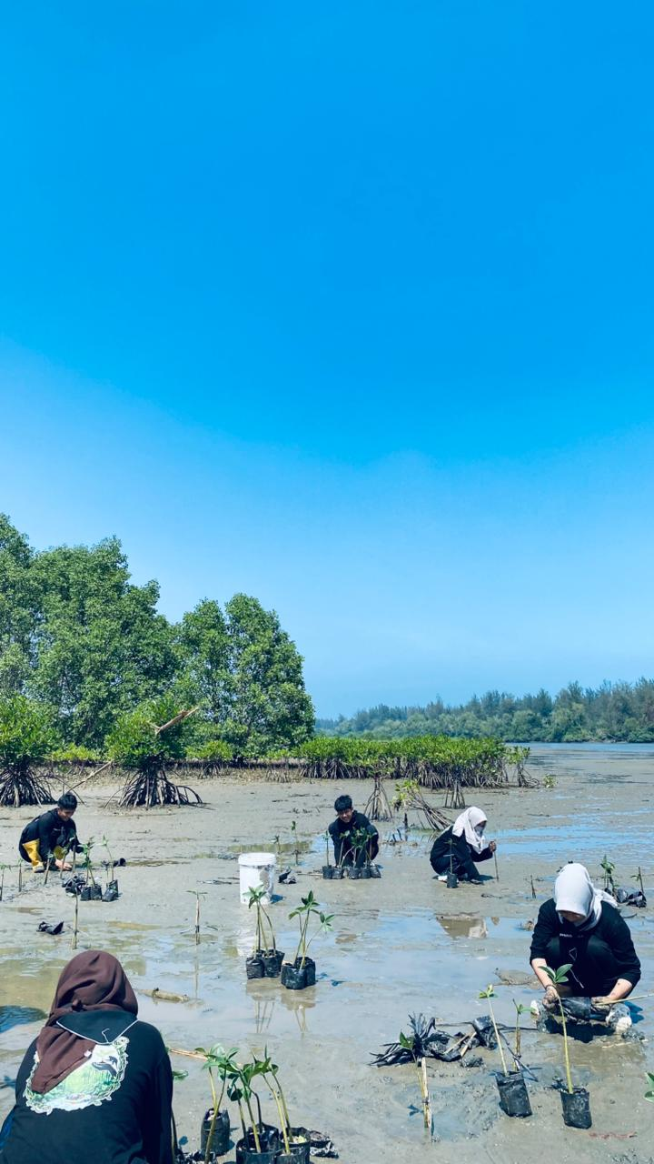Foto kegiatan Krisis Pesisir Bengkulu: Hasil Analisis Data Satelit Ungkap Kerusakan Mangrove Setara Runtuhnya 10 Kompleks Benteng Marlborough Tiap Tahun - GPA Gendong Adventure - foto 3