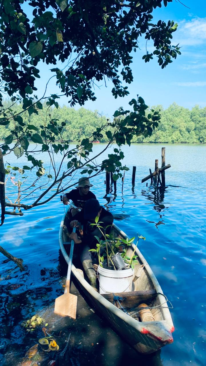 Foto kegiatan Krisis Pesisir Bengkulu: Hasil Analisis Data Satelit Ungkap Kerusakan Mangrove Setara Runtuhnya 10 Kompleks Benteng Marlborough Tiap Tahun - GPA Gendong Adventure - foto 2